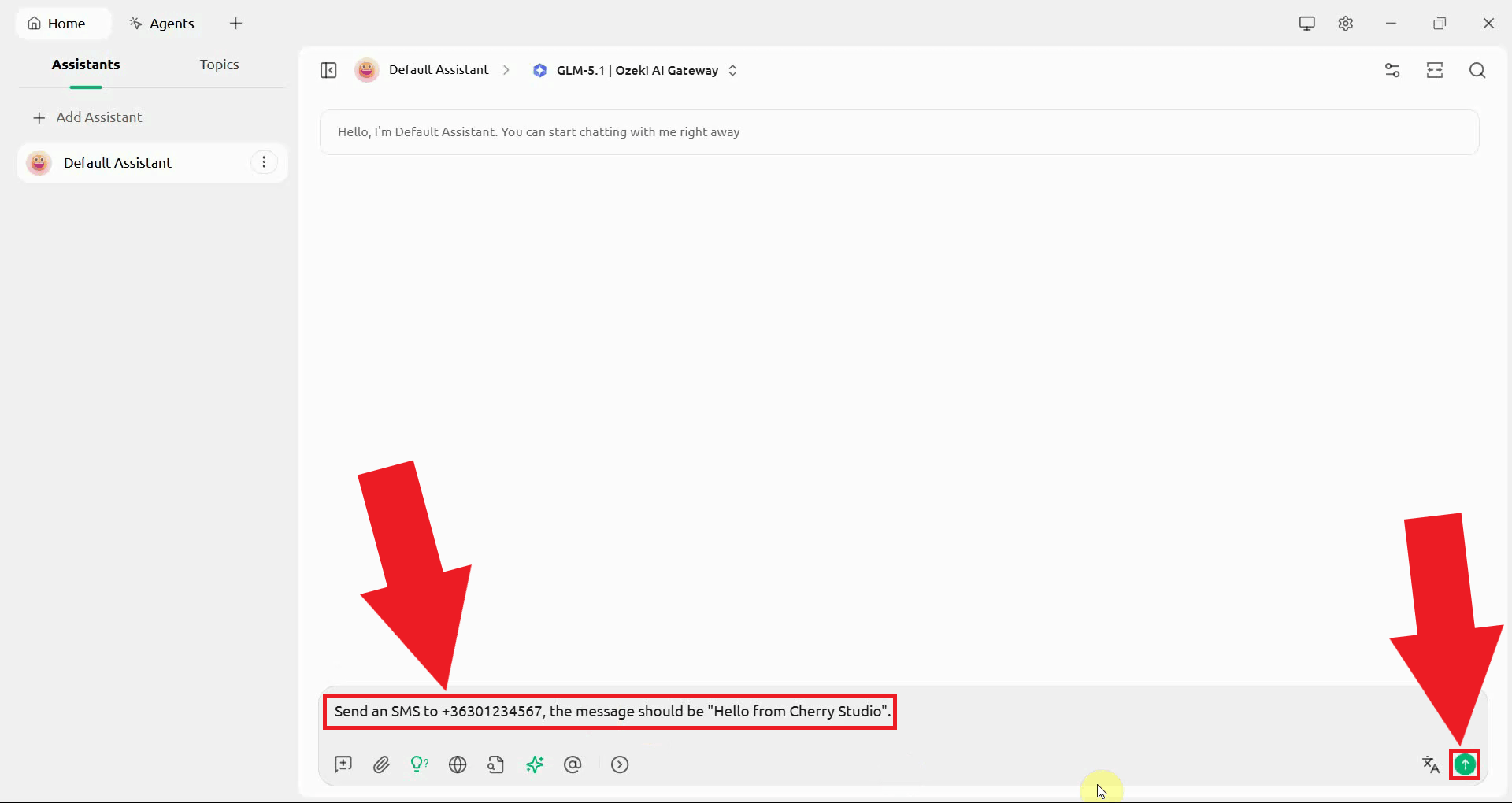 Instruct assistant to send an SMS